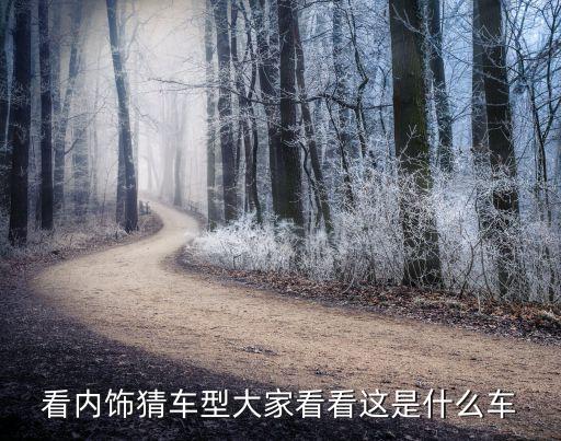 看内饰猜车型大家看看这是什么车