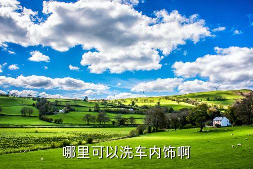 哪里可以洗车内饰啊