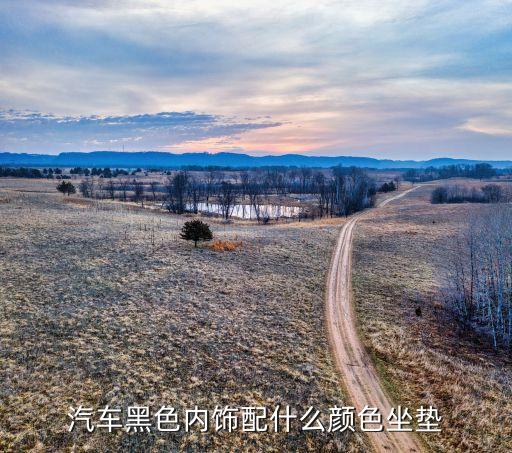 汽车黑色内饰配什么颜色坐垫