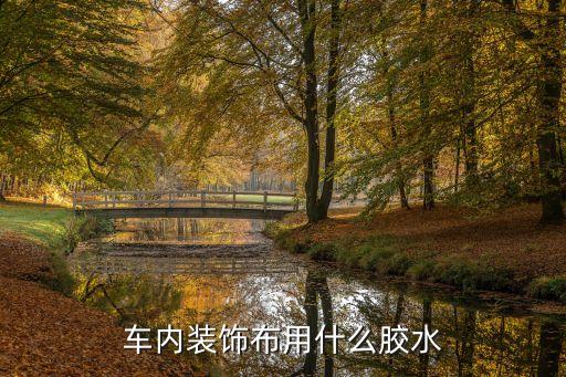 汽车木纹内饰用什么胶水，汽车内饰喷胶什么胶好