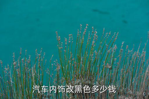 汽车内饰改黑色多少钱