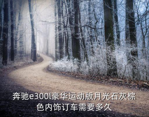 奔驰e300l豪华运动版月光石灰棕色内饰订车需要多久