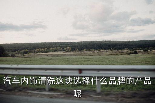 汽车内饰清洗这块选择什么品牌的产品呢