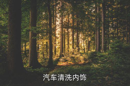 汽车洗内饰是洗些什么意思，汽车清洗内饰