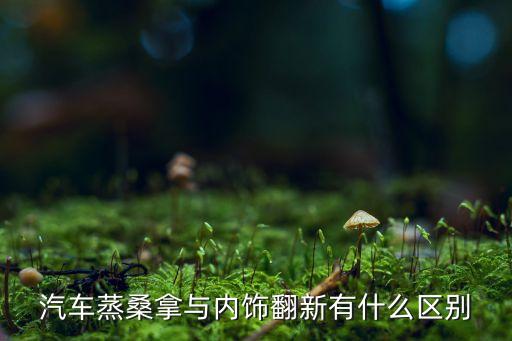 汽车蒸桑拿与内饰翻新有什么区别