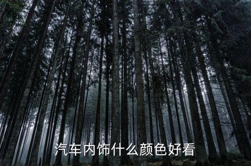 现在汽车流行什么色内饰，汽车内饰什么颜色好看