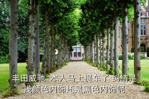 丰田威驰  本人马上提车了 纠结是浅颜色内饰还是黑色内饰呢
