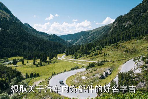 想取关于汽车内饰部件的好名字吉