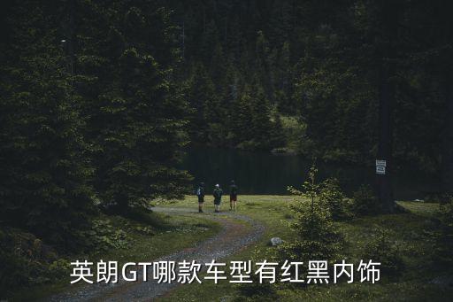 暗红色内饰的汽车有哪些，暗樱红有哪些车