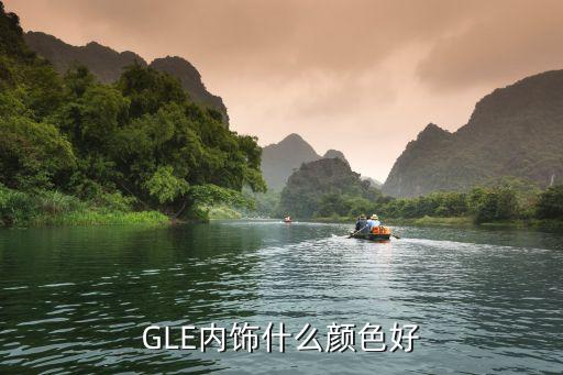 汽车菱格内饰搭配什么颜色，GLE内饰什么颜色好