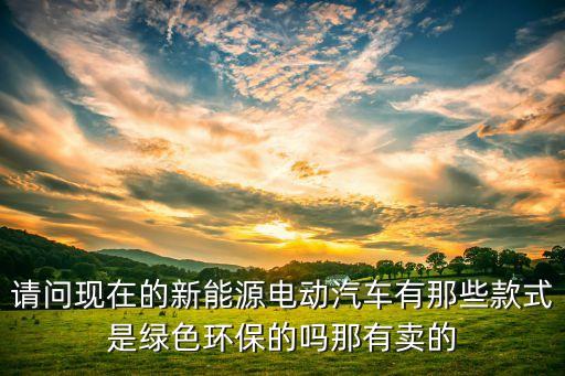 内饰绿色的电瓶汽车有哪些，绿色环保的电动车品牌有哪些