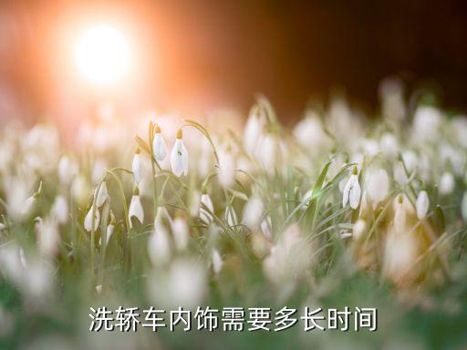 汽车洗内饰时间多久最好，有没有干洗车的问一下清洗一次内饰要多久