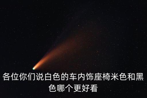 各位你们说白色的车内饰座椅米色和黑色哪个更好看