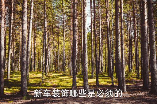 新车装饰哪些是必须的