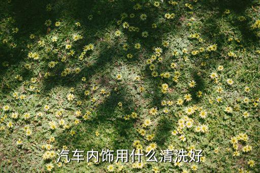 汽车内饰用什么清洗好