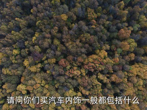 请问你们买汽车内饰一般都包括什么