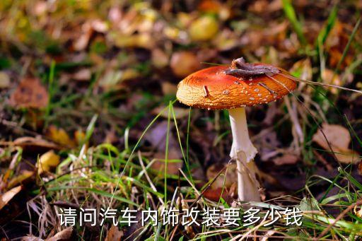 请问汽车内饰改装要多少钱