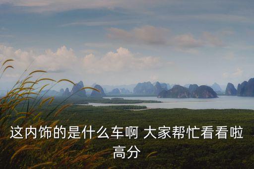 内饰定制的汽车叫什么，这内饰的是什么车啊 大家帮忙看看啦高分