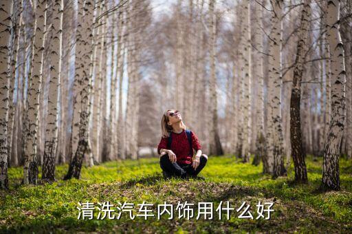 清洗汽车内饰用什么好