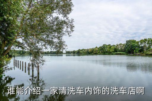 谁能介绍一家清洗车内饰的洗车店啊