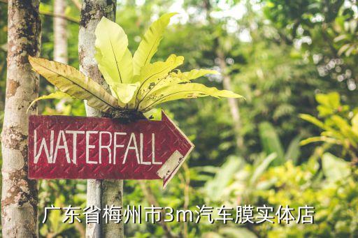 广东省梅州市3m汽车膜实体店
