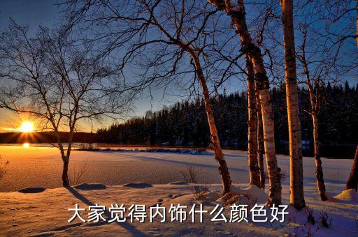 大家觉得内饰什么颜色好