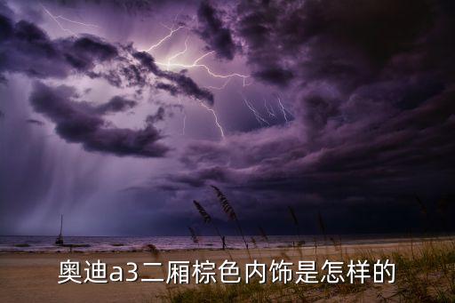 汽车棕色内饰什么样，大家觉得棕色内饰好看吗我感觉还是黑的好看
