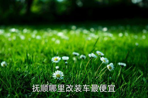 抚顺哪里改装车最便宜