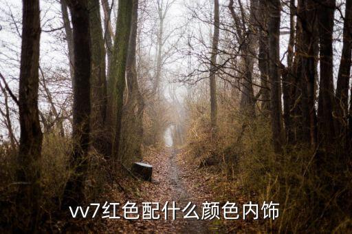 蔚来汽车红色内饰是什么，这个是什么车的内饰