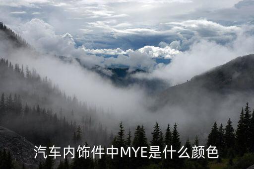 汽车点位内饰是什么颜色，思域红色的车内饰是什么颜色