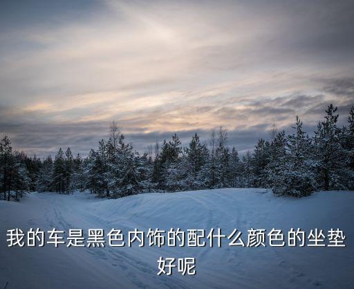 我的车是黑色内饰的配什么颜色的坐垫好呢