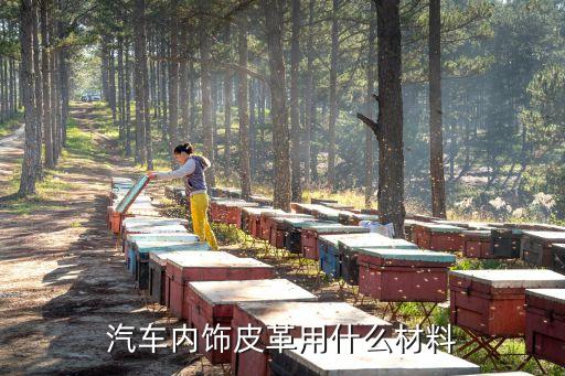 汽车内饰皮革用什么材料