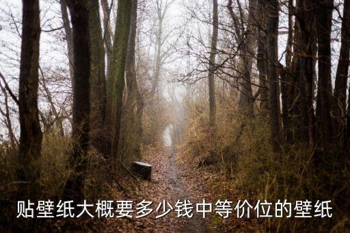 贴壁纸大概要多少钱中等价位的壁纸