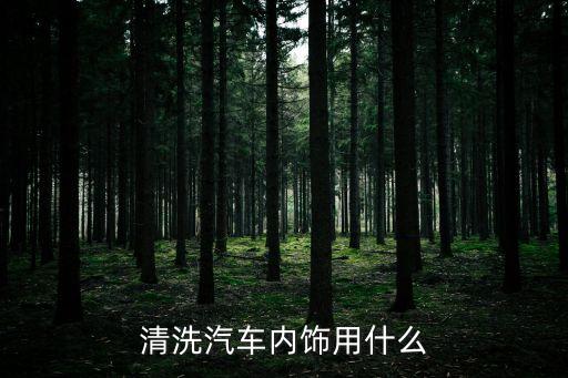 清洗汽车内饰用什么