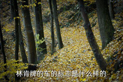 林肯牌的车的标志是什么样的