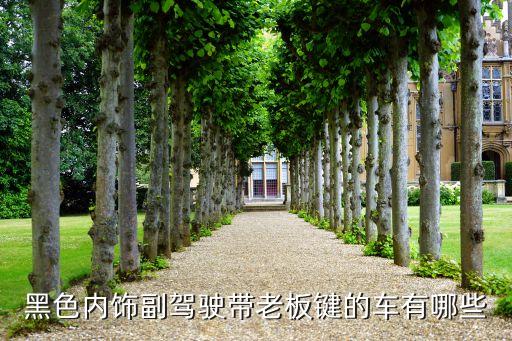 黑色内饰副驾驶带老板键的车有哪些