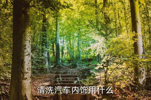清洗汽车内饰用什么