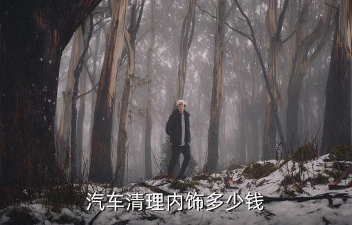 汽车清理内饰多少钱