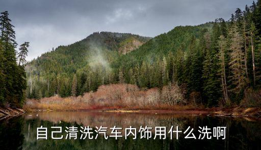 擦汽车皮面内饰用什么刷子，汽车内饰用什么洗啊