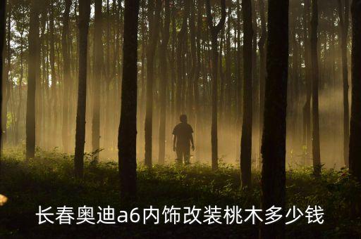 长春奥迪a6内饰改装桃木多少钱