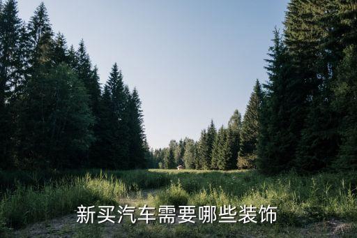 汽车一般需要什么内饰，车一般有些什么内饰