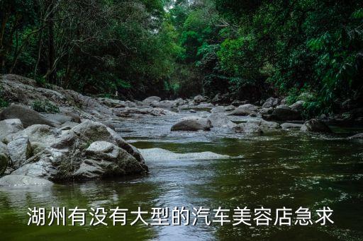 湖州有没有大型的汽车美容店急求