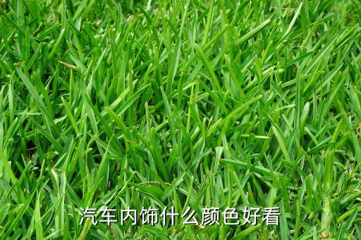 汽车什么颜色的内饰高档，黑色车选择什么颜色内饰上档次