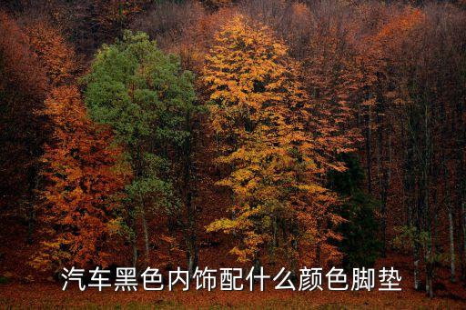 汽车黑色内饰配什么颜色脚垫