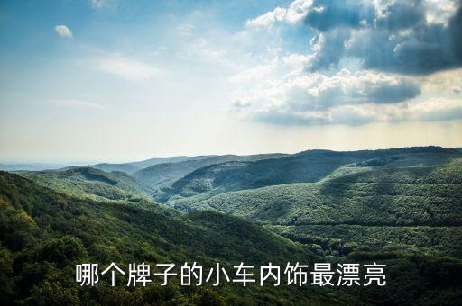 哪个牌子的小车内饰最漂亮