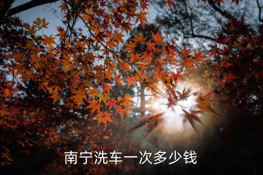 南宁汽车洗内饰多少钱一次，现在南宁市洗车一次要多少钱