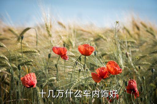 汽车什么内饰比较值钱，十几万什么车内饰好