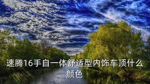 速腾16手自一体舒适型内饰车顶什么颜色