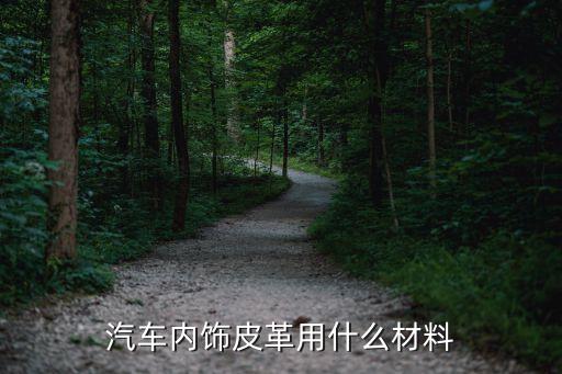 汽车皮质内饰材料选择哪个，汽车内饰主要会用到哪些材料他们的特点是什么