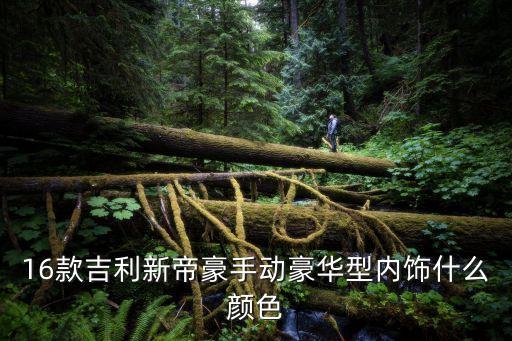 16款吉利新帝豪手动豪华型内饰什么颜色